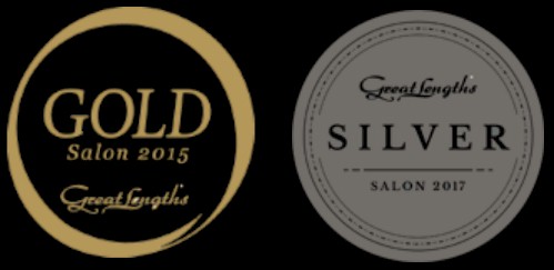  Gold Salon 2015 Silver Salon 2017